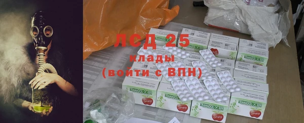 шишки Апатиты