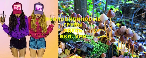 дживик Анжеро-Судженск