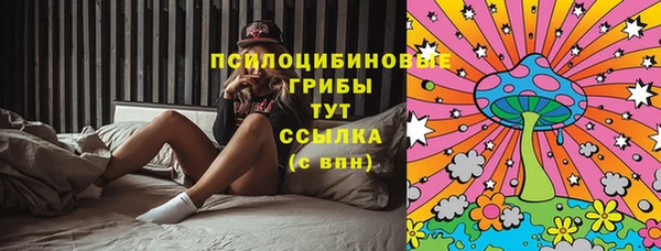 мескалин Надым