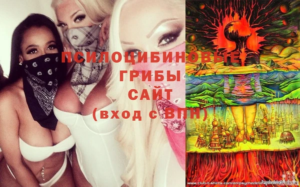 мескалин Надым