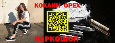 гашик Аргун