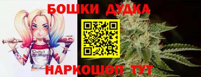 гашик Аргун