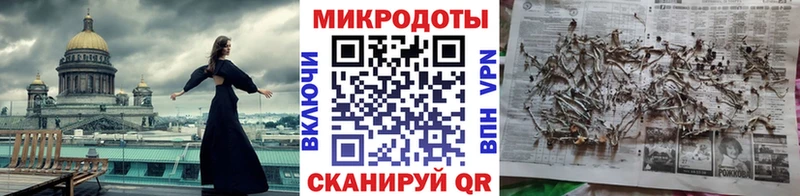 Псилоцибиновые грибы Psilocybe  цены   Муром 