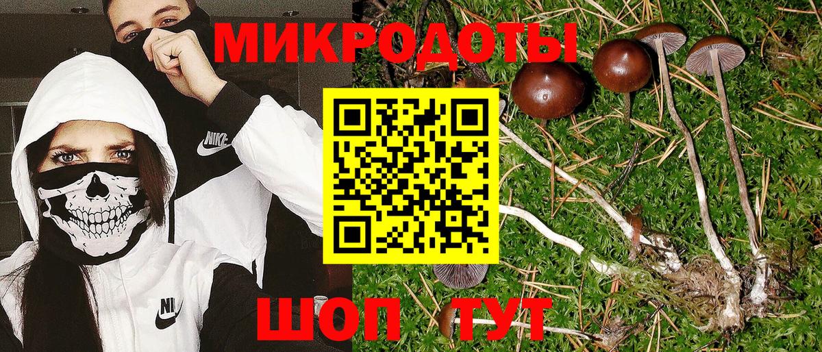 Галлюциногенные грибы прущие грибы  Псилоцибиновые грибы мухоморы  Муром  Вход с VPN 
