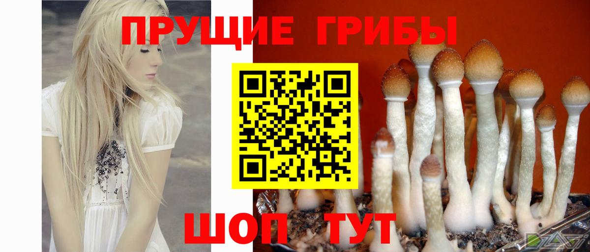 Галлюциногенные грибы MAGIC MUSHROOMS Муром