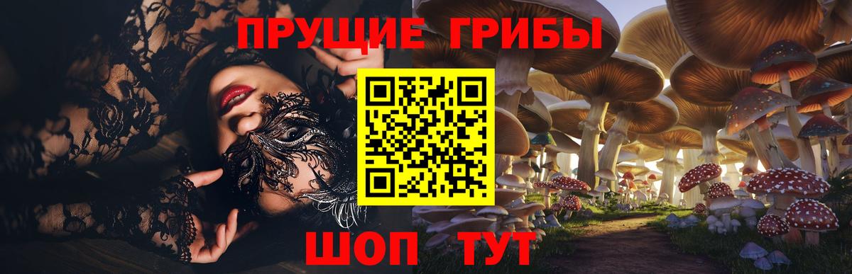 Псилоцибиновые грибы мицелий Муром